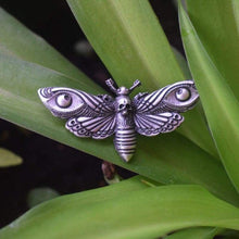 Load image into Gallery viewer, Deaths-Head Hawkmoth brooch (Antique Silver Plated) - 100007322
